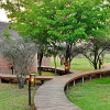 Отель Ngala Lodge, фото 16