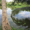 Отель Lake Garden Villa - Kelaniya, фото 16