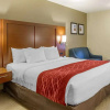Отель Comfort Inn Lancaster - Rockvale Outlets, фото 32
