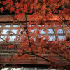 Отель Jiashan Yunlan Bay Honglu  Yuanlin Hotel, фото 19