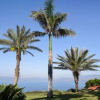 Отель The White Chalet View, фото 29