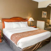 Отель Comfort Suites Auburn near I-69, фото 3
