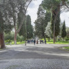 Отель Colosseo Green Park – Home and More, фото 16
