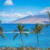Отель Kihei Surfside #509 by Ali'i Resorts, фото 20