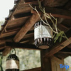 Отель Qingcheng Mountain is not staying. Jiuzhi Forest Private Tang Homestay, фото 5