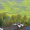 Отель Huangling Impression Boutique Hostel, фото 11
