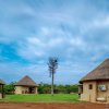 Отель Mopane Bush Lodge, фото 10