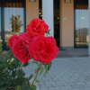 Отель Rosa dei Venti, фото 3