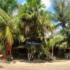 Отель Hostel Bambu Gran Palas and Cenote, фото 12