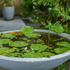 Отель Saku Residence, фото 30