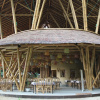 Отель Ecolodge Bukit Lawang - Hostel, фото 7