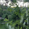 Отель Villa Delle Camelie, фото 6