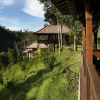Отель Bagus Jati Health & Well Being Retreat, фото 50