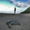 Отель Turtle Saving Hostel, фото 14