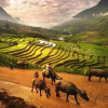 Отель Royal Hotel Ha Giang, фото 26