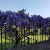 Отель Agriturismo Il Pintello, фото 7