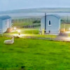 Отель The Snuggly Sheep Shepherd Hut Campview Farm Stay, фото 5