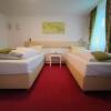 Отель Room in Guest Room - Pension Forelle - Double Room, фото 3
