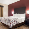 Отель Hampton Inn Tupelo, фото 19