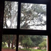 Отель Yolotzin, Restaurante Temazcal y Masajes, фото 16