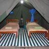 Отель Enchoro Wildlife Camp в Кикороке