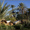 Отель Lodge Hara Oasis, фото 10