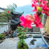 Отель Hongcun Hanlin Xiaoyuan Homestay (Tachuan Qiuse Branch), фото 1