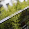 Отель B&B Del Corso, фото 20
