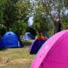 Отель Camping Campo al Fico, фото 5