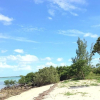 Отель Mangrove Cay Sea View Villas, фото 19