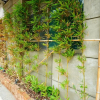 Отель Slow Tainan Homestay, фото 18
