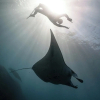 Отель Nyaman Catamaran, фото 33