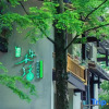 Отель Wuyi Mountain Ancient Street Forest Living England Time Inn, фото 40