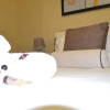 Отель Jasper Guest House, фото 12