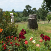 Отель MirArte, фото 19