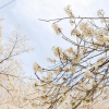 Отель Gongju Man and Tree Pension, фото 17