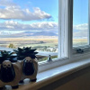 Отель Castle Cottage Inn, фото 20