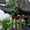 Отель Yuliang Sincerity Homestay, фото 16