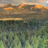 Отель Pikes Peak Paradise - Woodland Park, фото 15