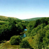 Отель Barn Cottage - Farm Park Stay with Hot Tub, BBQ & Fire Pit, фото 12