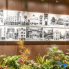 Отель Xinhua Hotel, фото 12