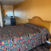 Отель Palm Tree Inn, фото 11