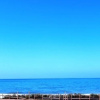 Отель Wyndham Harbour Villa - Melbourne, фото 10