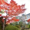 Отель Matsushima Taikanso, фото 11