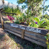 Отель Mango Tree Cottage Eumundi, фото 1