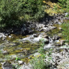 Отель Rustic Rapids, фото 11