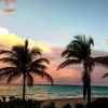 Отель Wonderful 2Br With Bbq Next To Gulfstream, фото 19