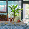 Отель Gangneung Ssol House Pension, фото 19