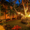 Отель Mango House, фото 16