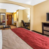 Отель Comfort Inn, фото 6